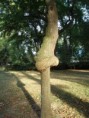 /album/fotogaleria-priroda/nitriansky-park-sihot-jpg/
